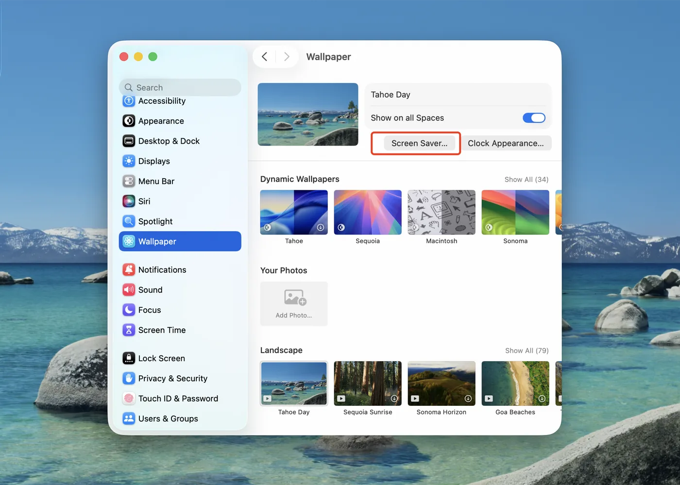 macOS 系统设置的墙纸页面，「屏幕保护程序…」按钮以红框标出